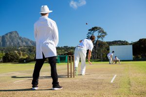 Team playing cricket